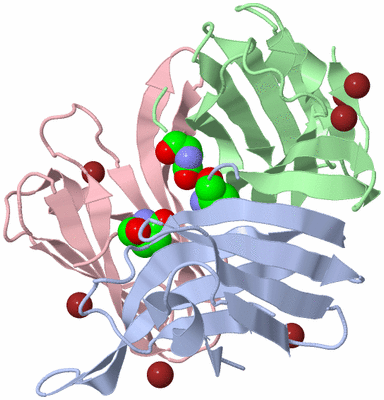 Image Asymmetric Unit