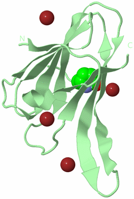 Image Biological Unit 2