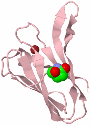 Image Biological Unit 3