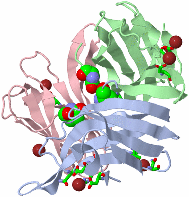 Image Asym. Unit - sites