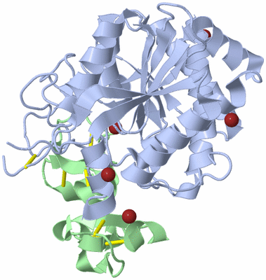 Image Asym./Biol. Unit