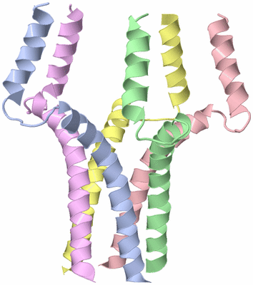 Image NMR Structure - model 1