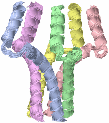 Image NMR Structure - all models