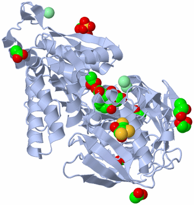 Image Biological Unit 1