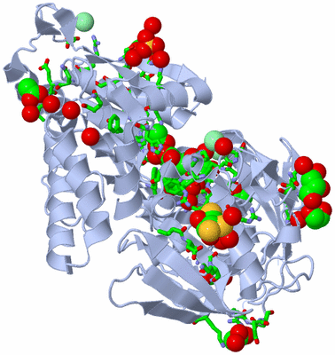 Image Biol. Unit 1 - sites