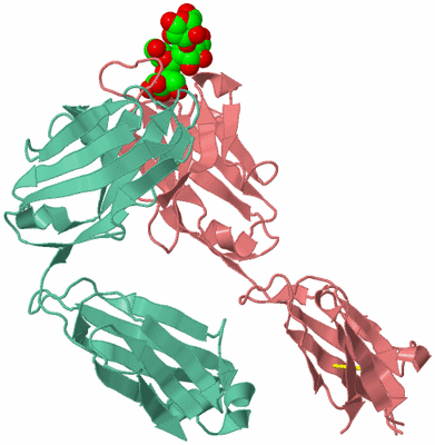 Image Biological Unit 1