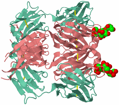 Image Biological Unit 2