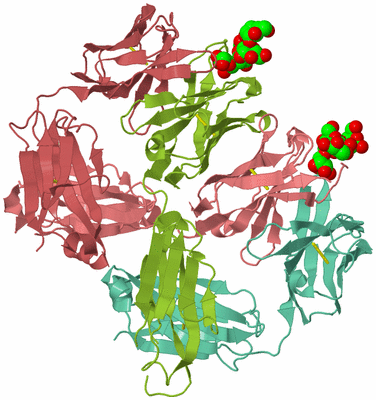 Image Asym./Biol. Unit