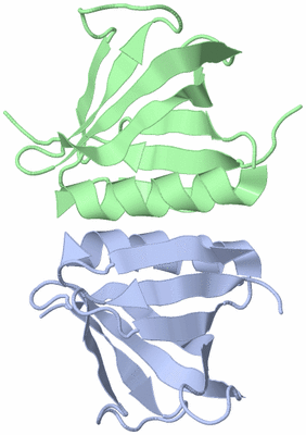 Image Asymmetric Unit