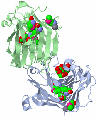 Image Asym./Biol. Unit