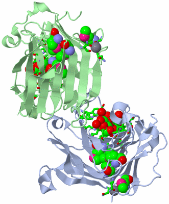 Image Asym./Biol. Unit - sites