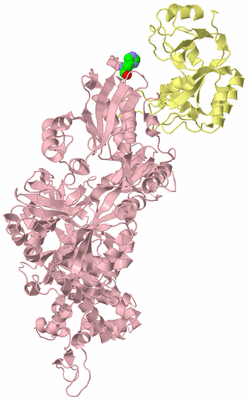 Image Biological Unit 2