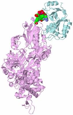 Image Biological Unit 3