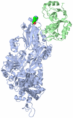 Image Biological Unit 1