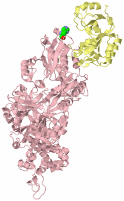 Image Biological Unit 2