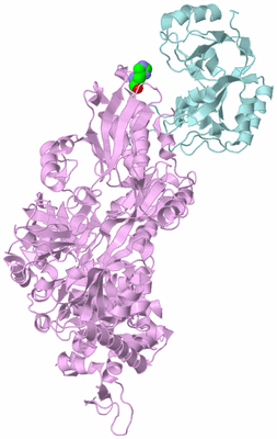 Image Biological Unit 3