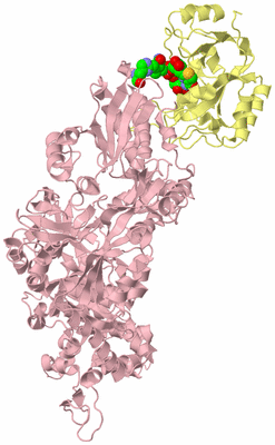 Image Biological Unit 2