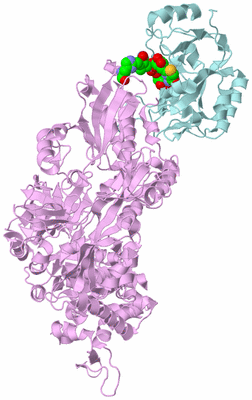 Image Biological Unit 3