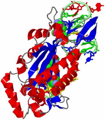 Image Asym./Biol. Unit