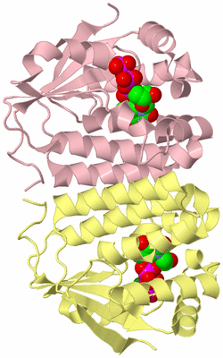 Image Biological Unit 2