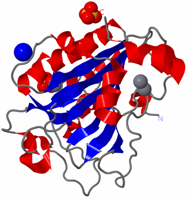 Image Asym./Biol. Unit