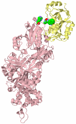 Image Biological Unit 2