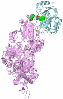 Image Biological Unit 3