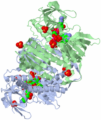 Image Biological Unit 1