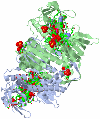 Image Biol. Unit 1 - sites