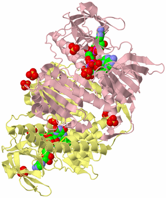 Image Biological Unit 2