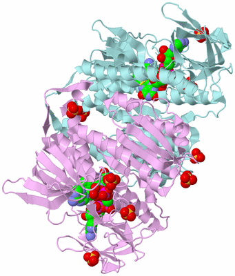 Image Biological Unit 3