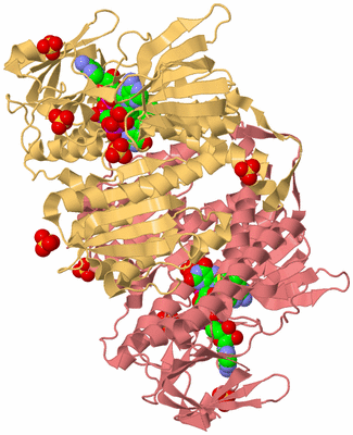 Image Biological Unit 4