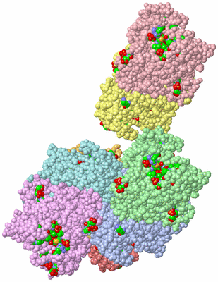 Image Asym. Unit - sites