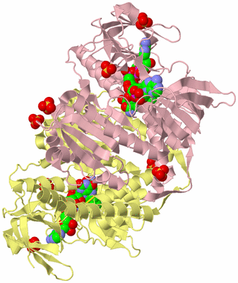 Image Biological Unit 2