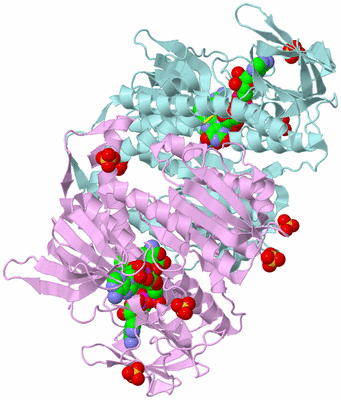 Image Biological Unit 3