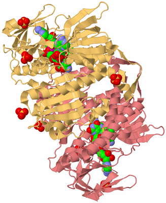 Image Biological Unit 4