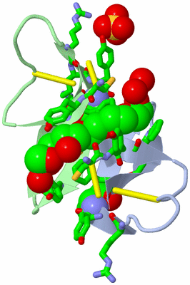 Image Biol. Unit 1 - sites