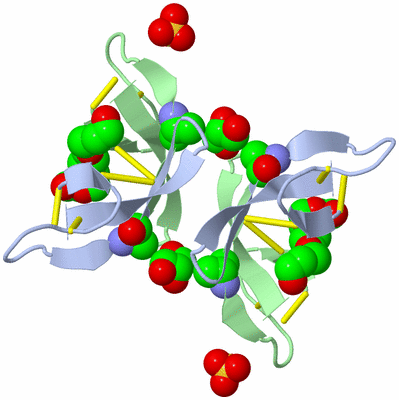 Image Biological Unit 3