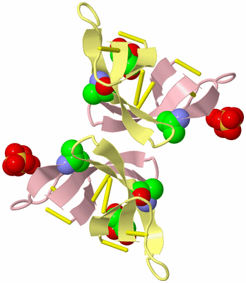 Image Biological Unit 4