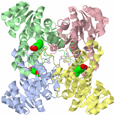 Image Asym./Biol. Unit