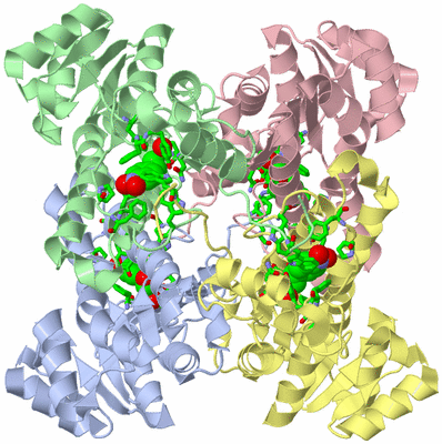 Image Asym./Biol. Unit - sites