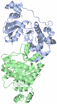 Image Asym./Biol. Unit