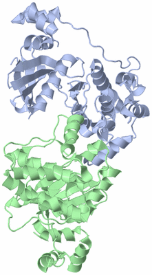 Image Asym./Biol. Unit