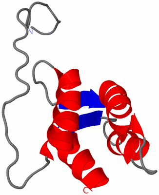 Image NMR Structure - model 1