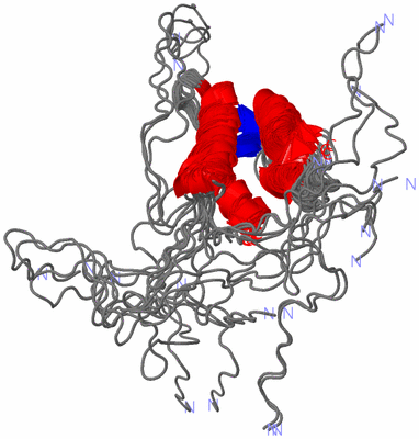 Image NMR Structure - all models