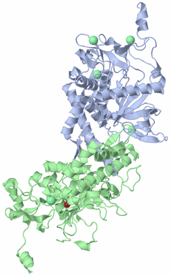 Image Asym./Biol. Unit