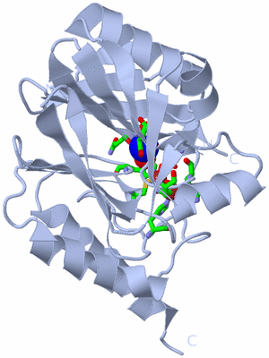 Image Biol. Unit 1 - sites