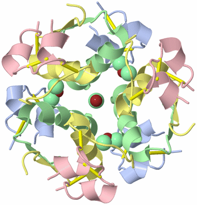 Image Biological Unit 3