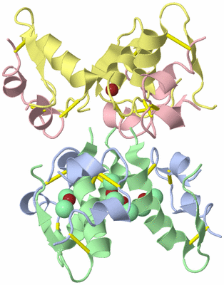 Image Biological Unit 4