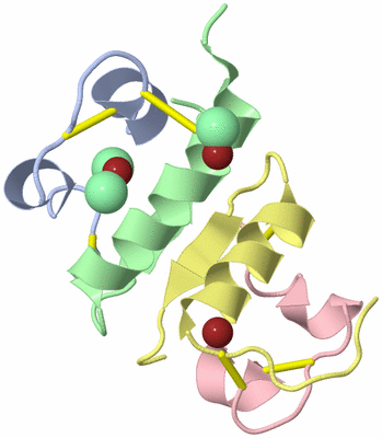 Image Biological Unit 6